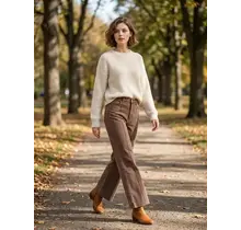 High Rise Wide Leg Pintuck Color Denim Pants - Brown