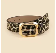 Textured Angled Rectangle Shaped Buckle | 40BT651 - Animal