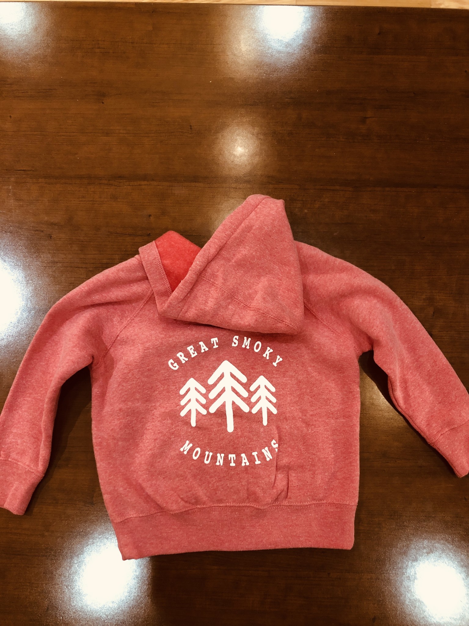 Hooded Sweatshirt – Youth – O'Leary Boosters