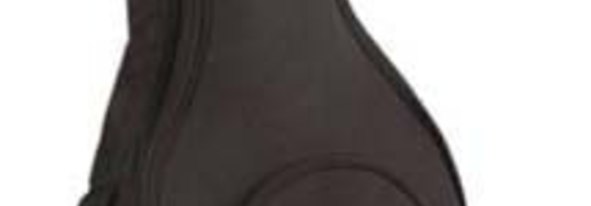 Guardian Lap Steel Gig Bag CG-090-LS