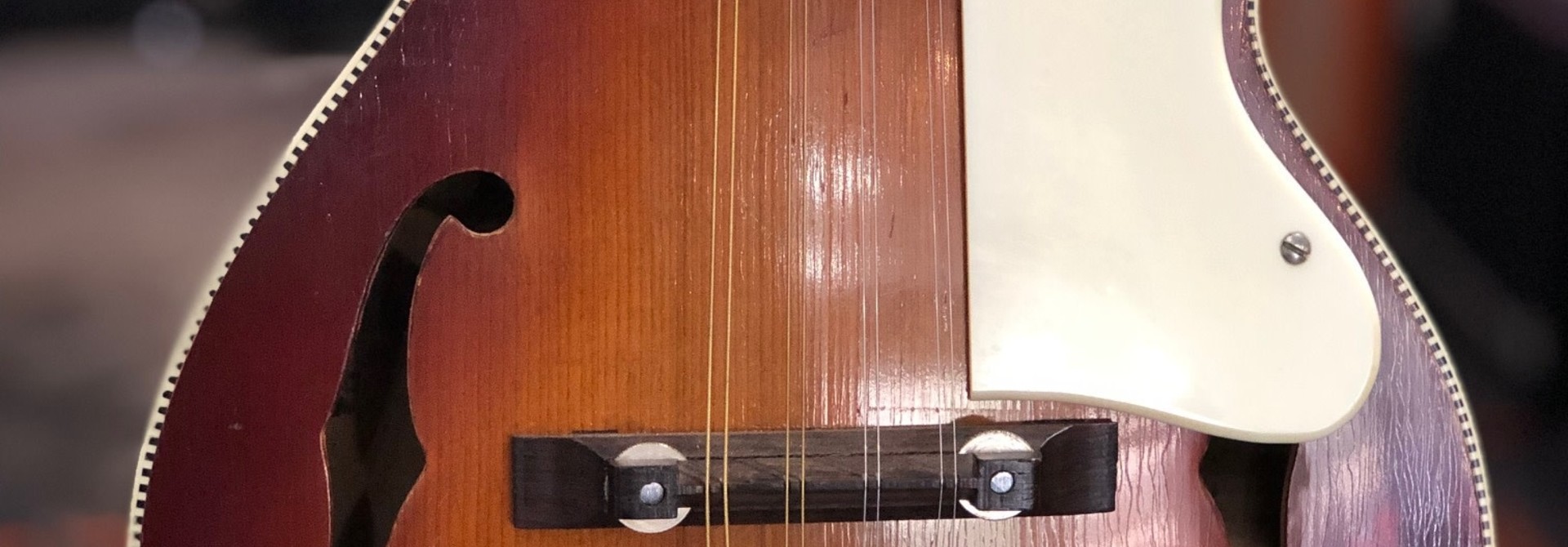 Orpheum F-style Mandolin