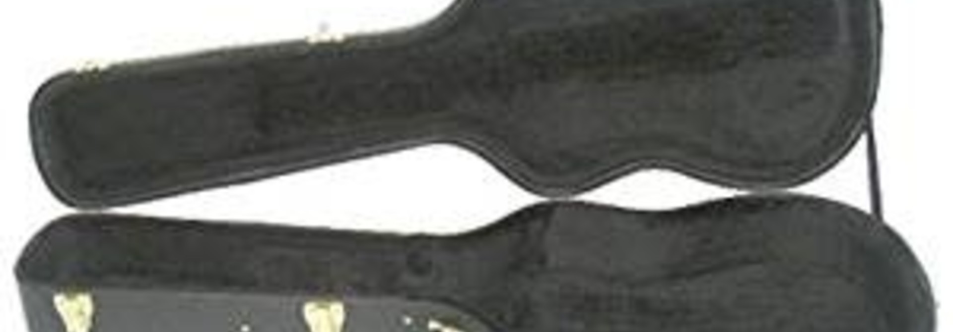 Guardian CG-020-LP Hardshell case