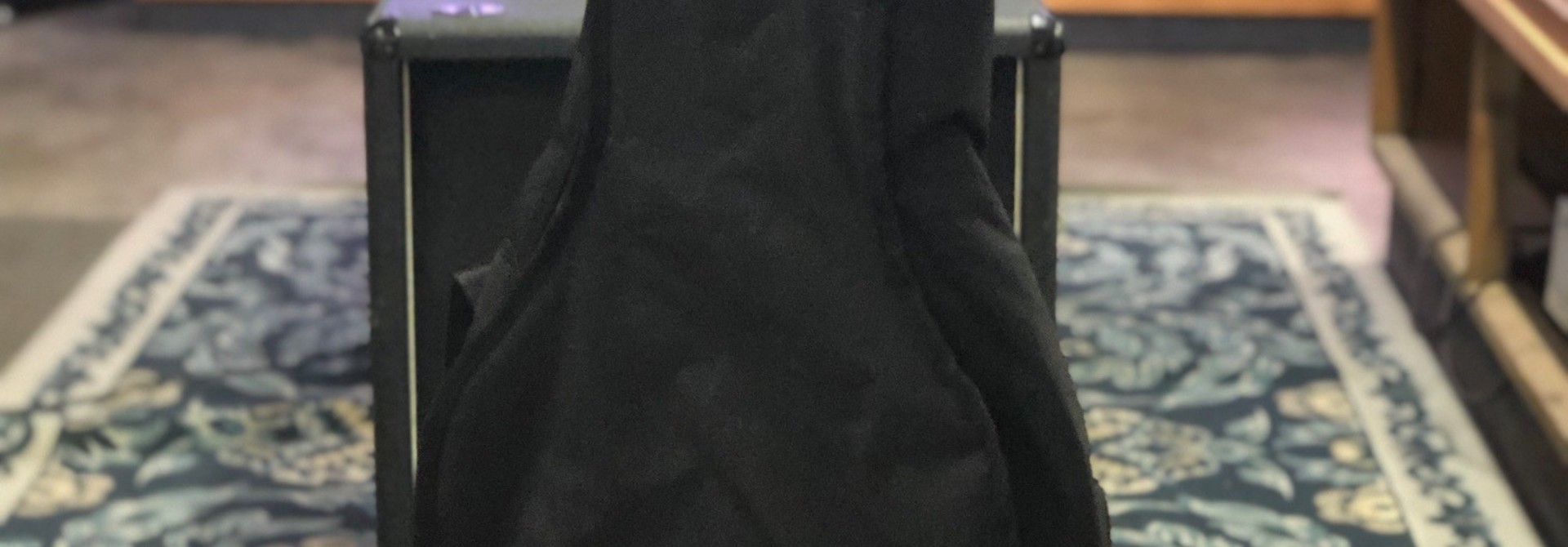 Dreadnought Gig Bag