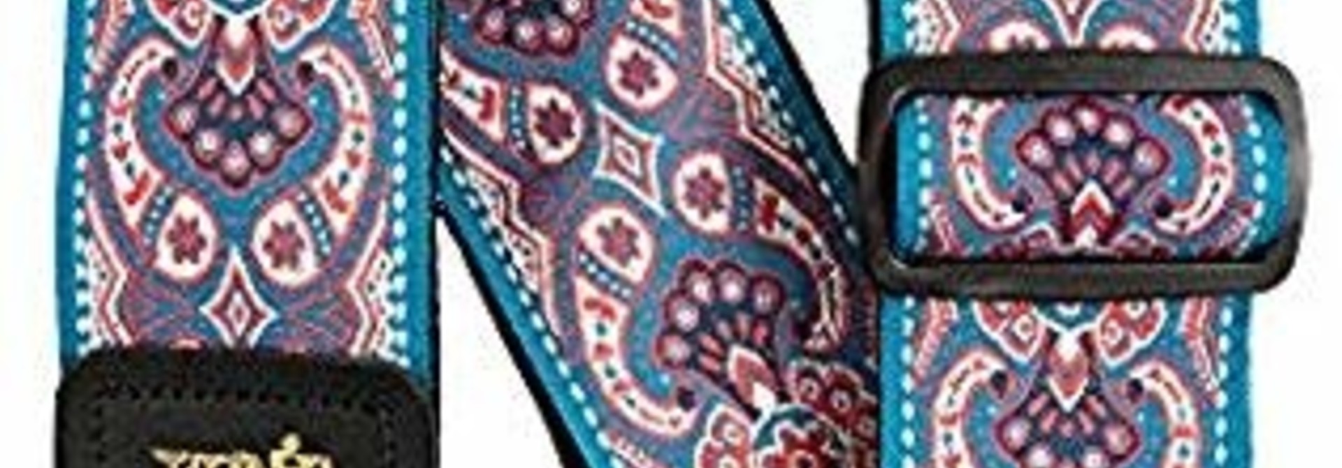 Ernie Ball Pink Paisley P04666