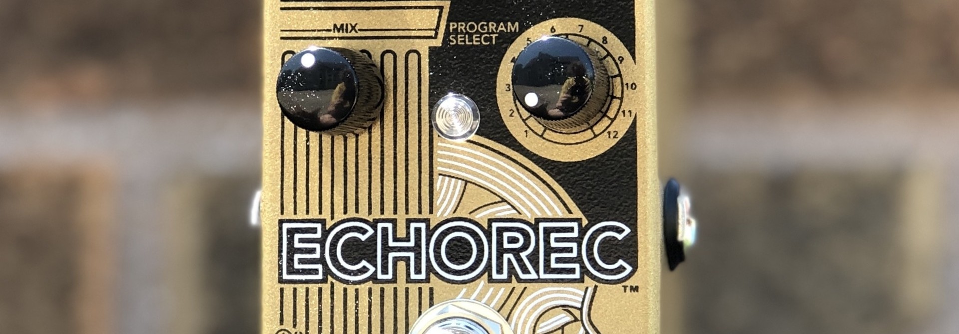 Catalinbread Echorec Multi-tap Echo
