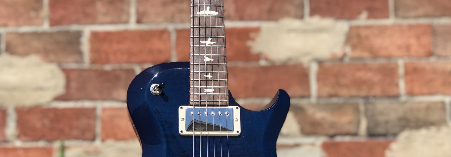 PRS S-2 Single Cut Semi Hollow Whale Blue