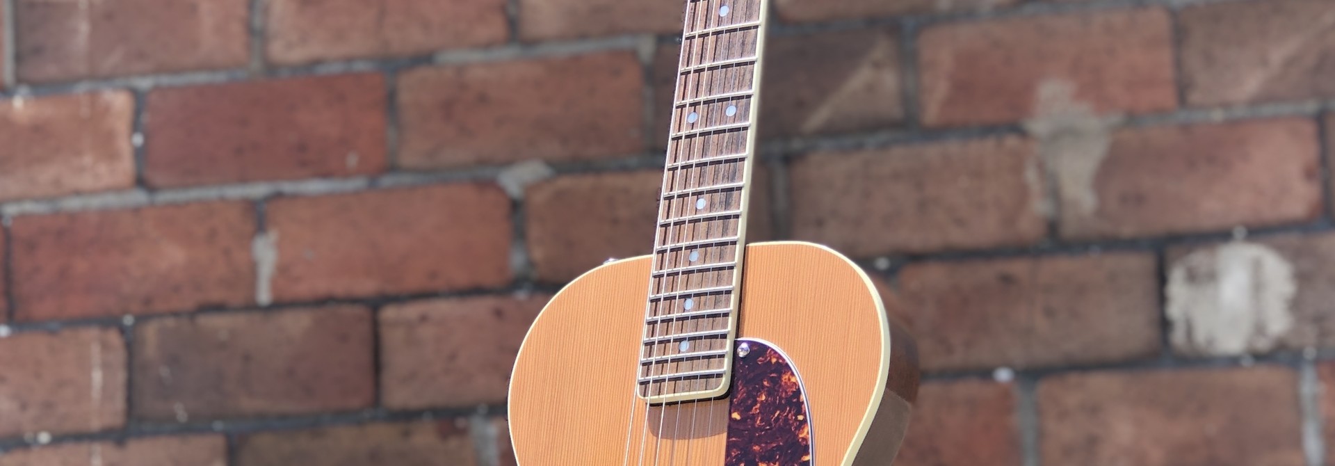 Ness Lutherie Hilldale