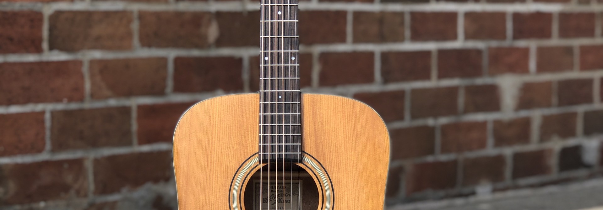 Recording King RD-T16 Torrefied Adirondack Spruce Solid Top Dreadnought