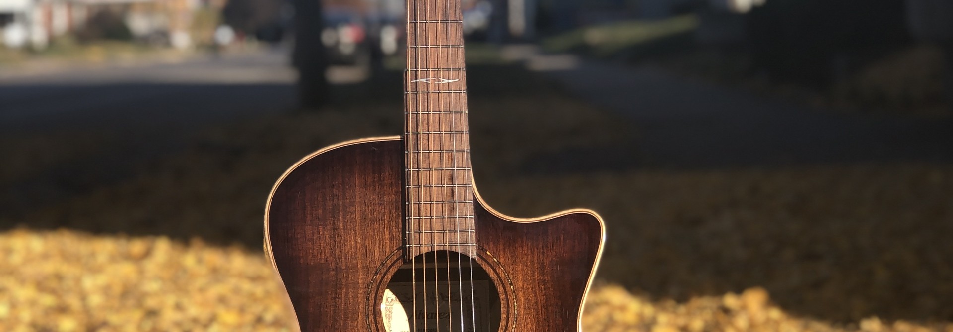 Alvarez AGW700CEAR Acoustic Electric