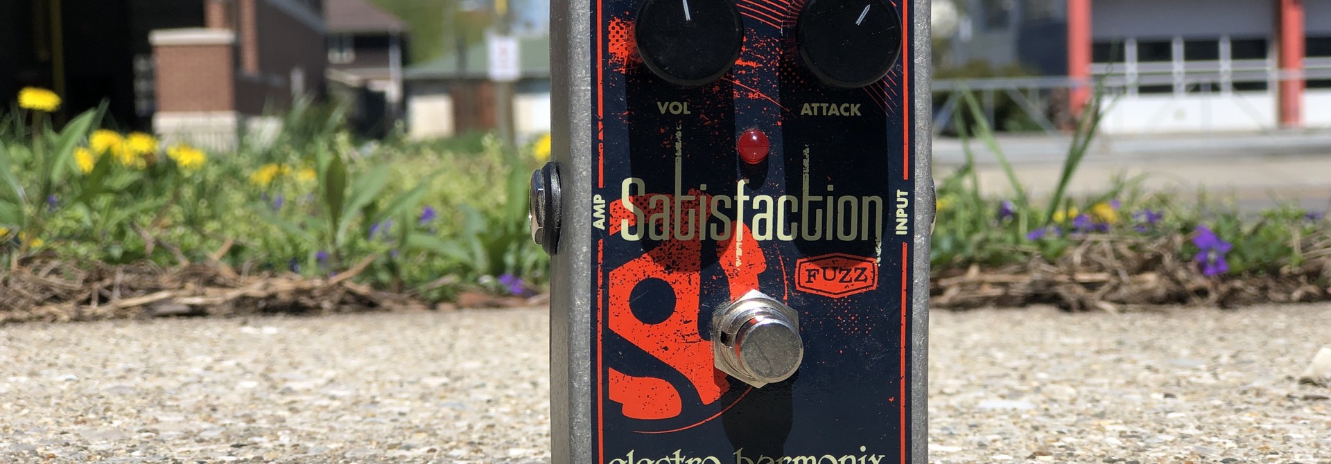 EHX Satisfaction Fuzz