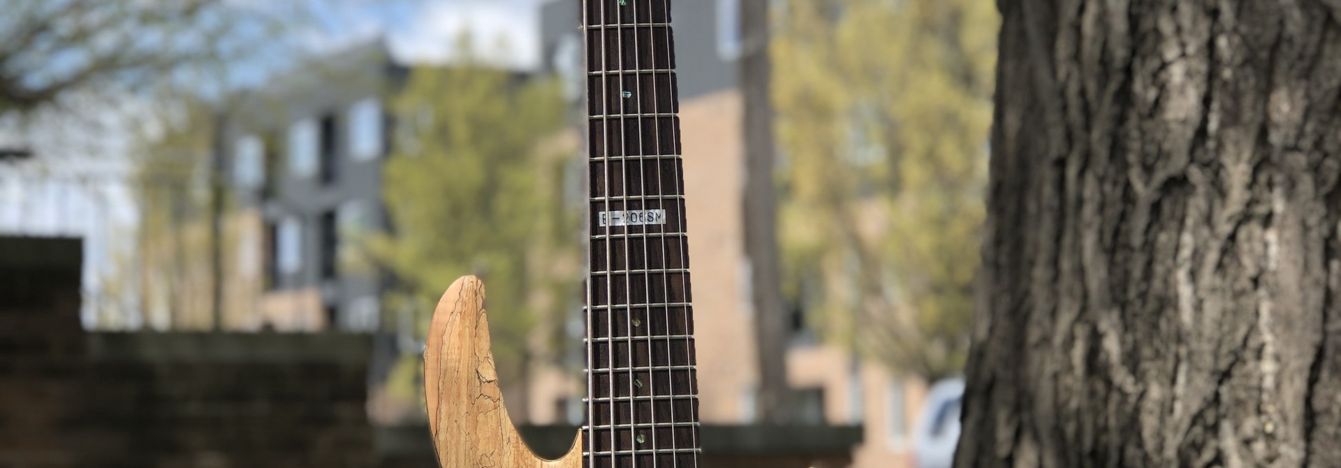 LTD by ESP B-206SM 6-string Bass