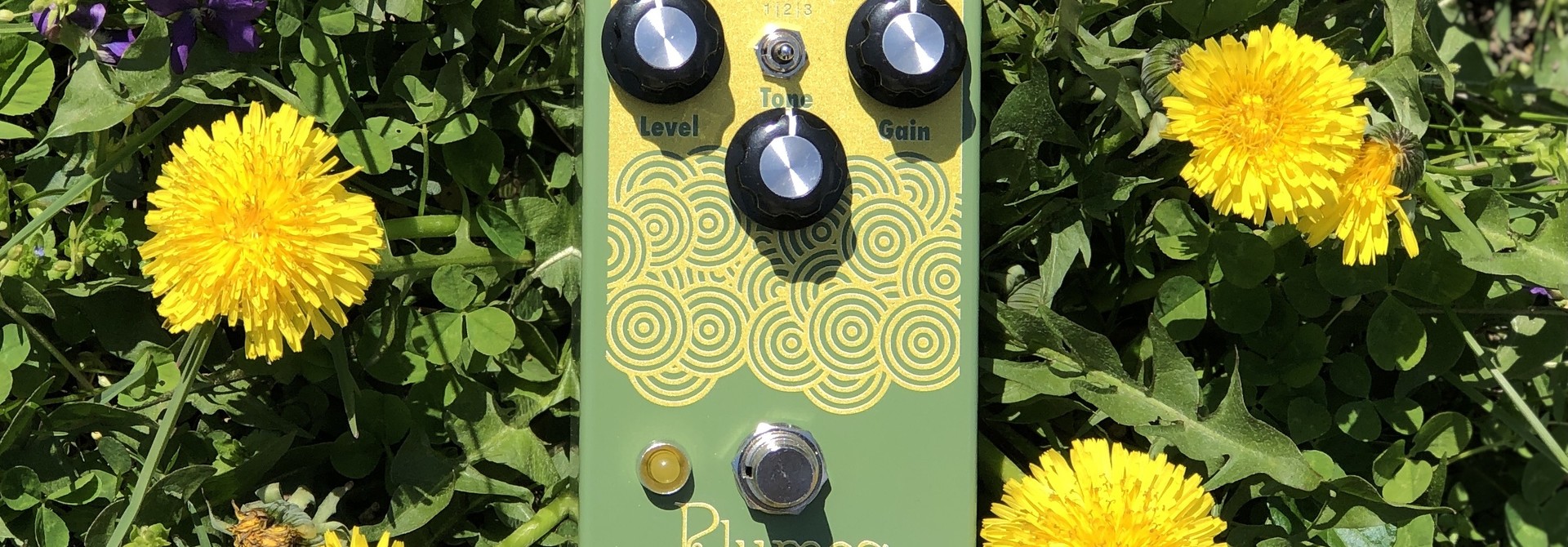 EarthQuaker Devices  Plumes