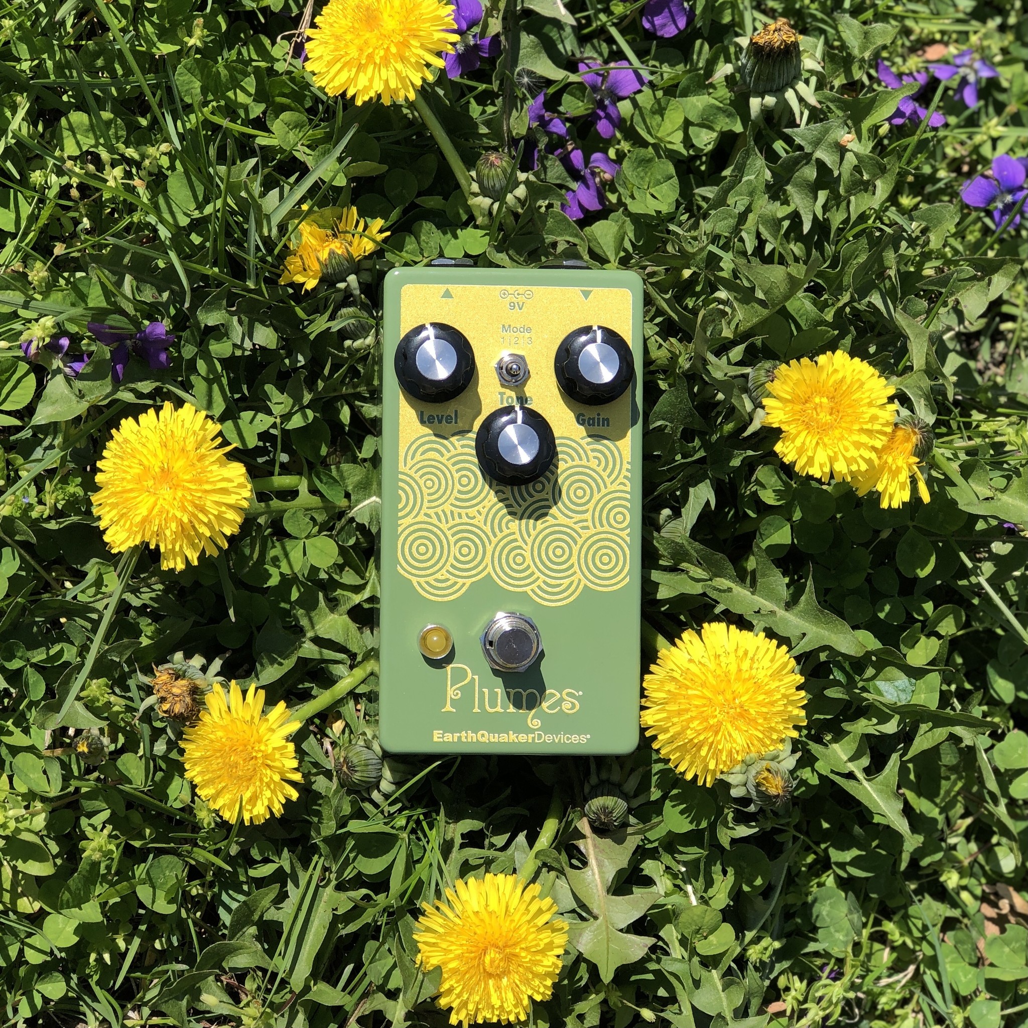 Earthquaker Devices Plumes