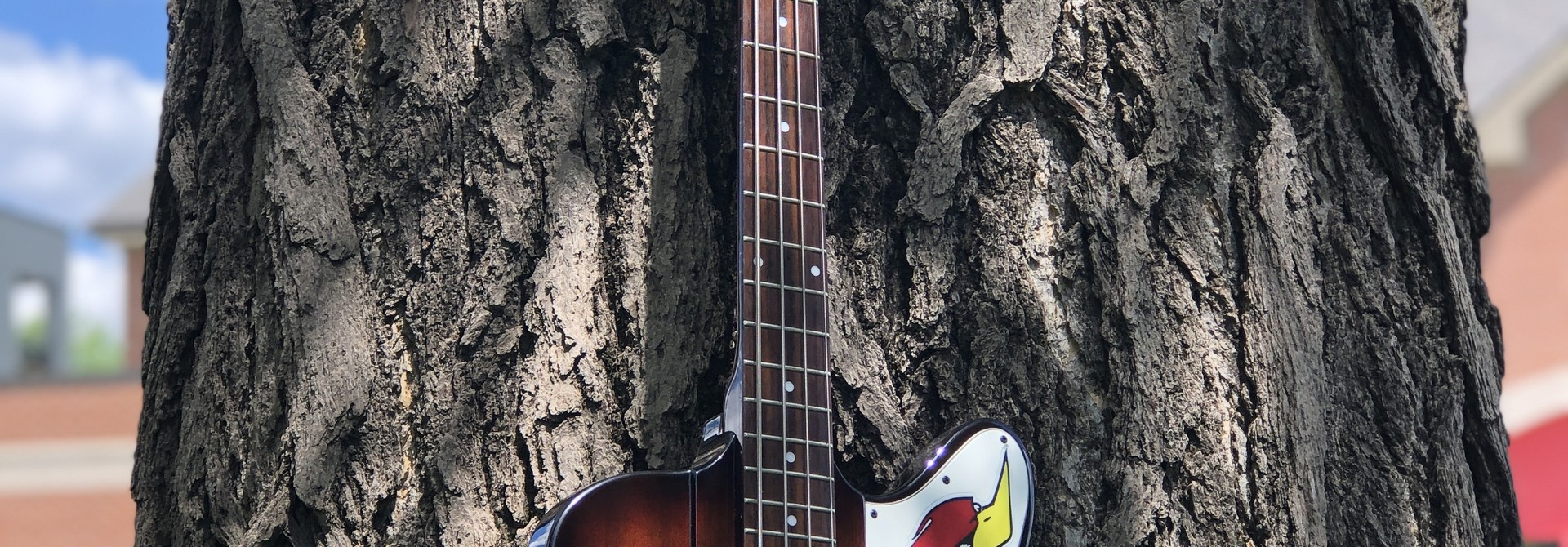 Epiphone Thunderbird Bass "The Pecker" w/ EMG pickups