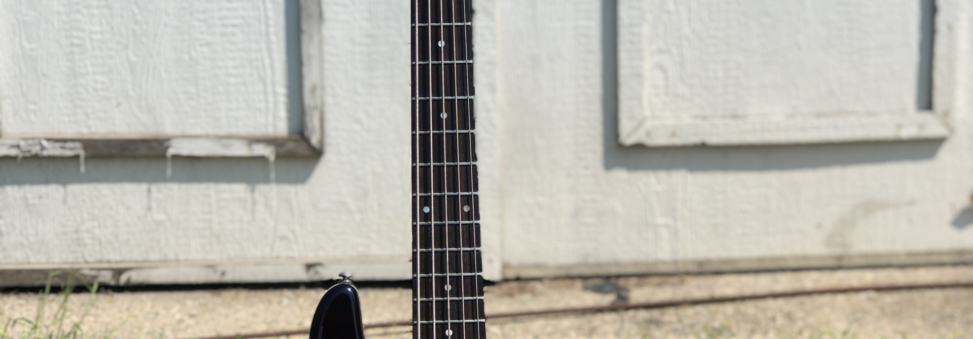 Schecter Raiden Special-5