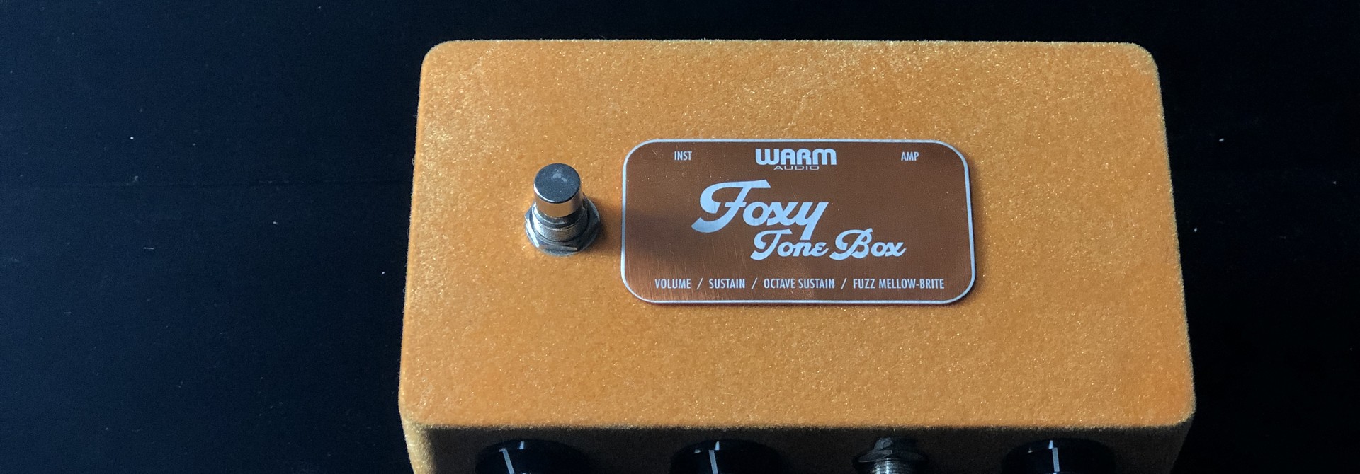 Warm Audio Foxy Tone Box