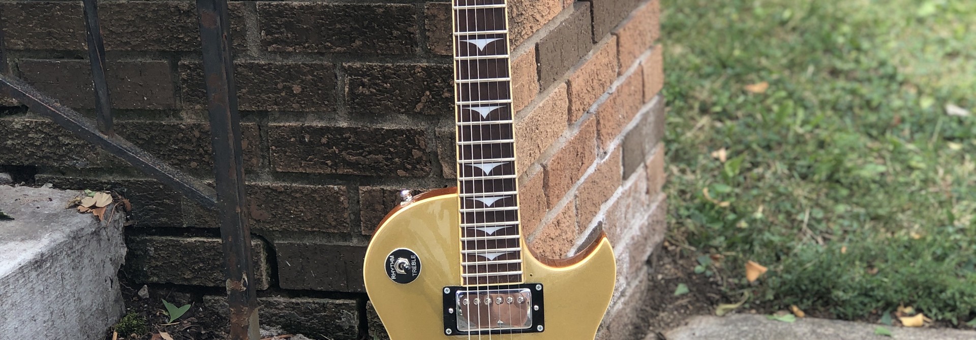 Tradition Gold Top