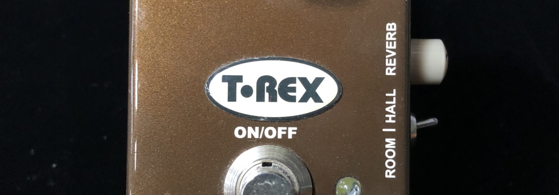 T-Rex Fat Shuga