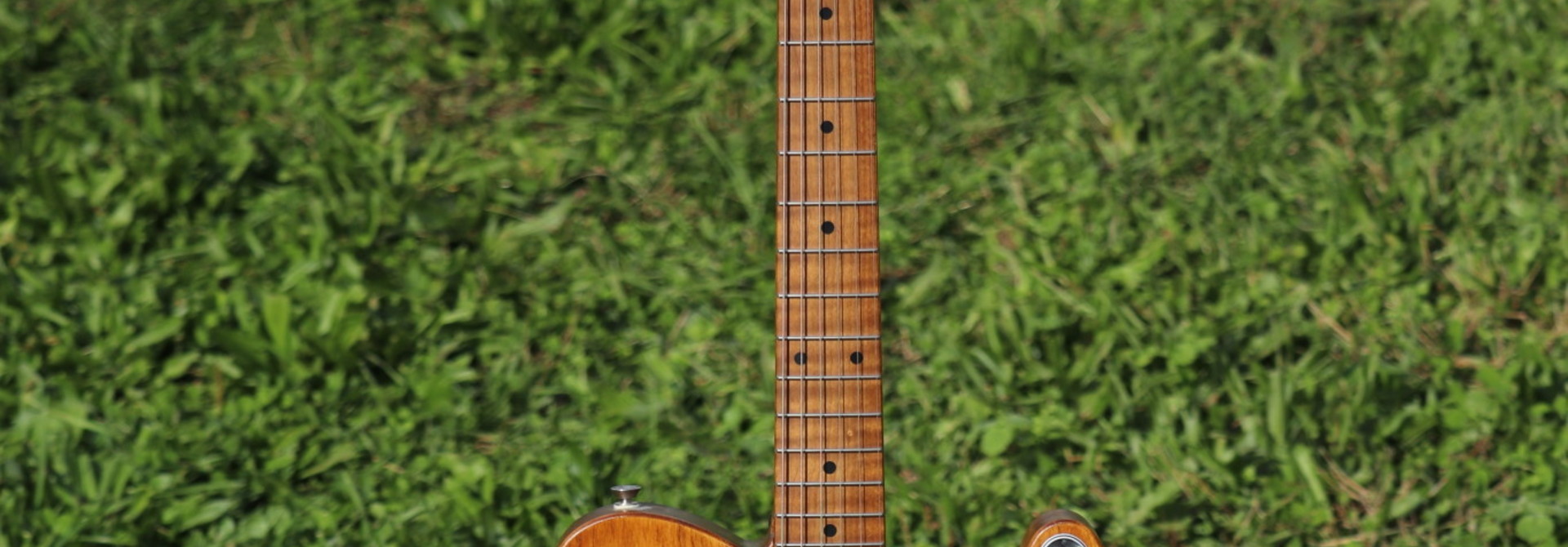 Wright Minds Musical Instruments Roasted Swamp Ash Tele w/ David Allen pickups