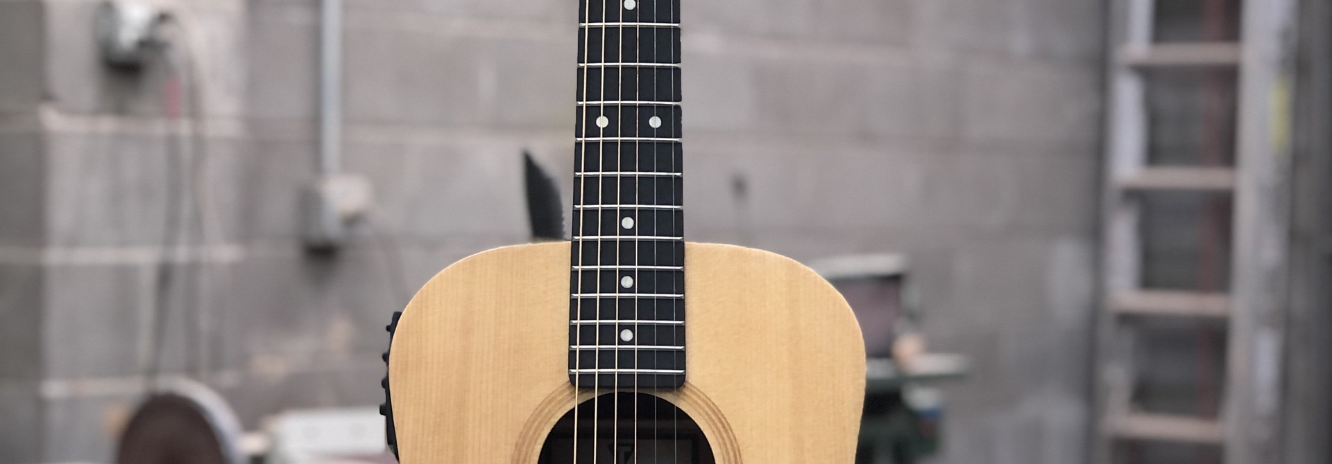Traveler Guitar Spruce Top AG105E SPS w/ Case