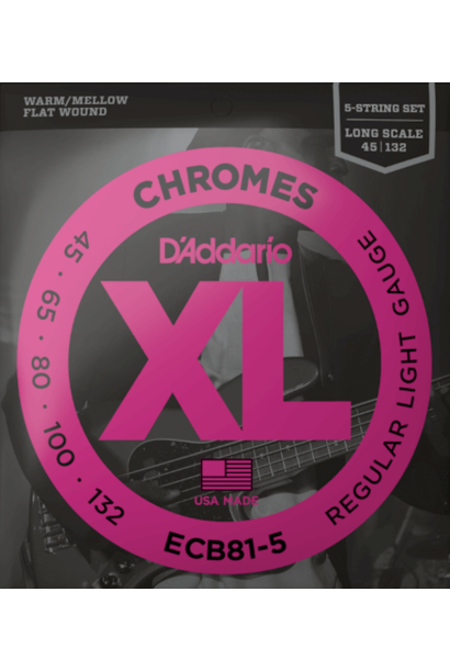 D'Addario ECB81-5 5-String Bass Guitar Strings, Light, 45-132, Long Scale