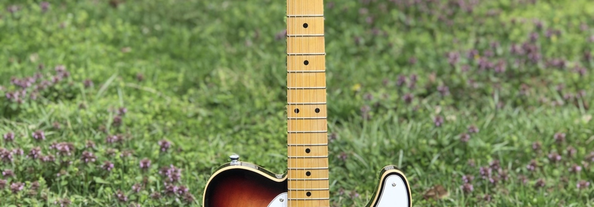 Wright Minds Sunburst Bound Tele