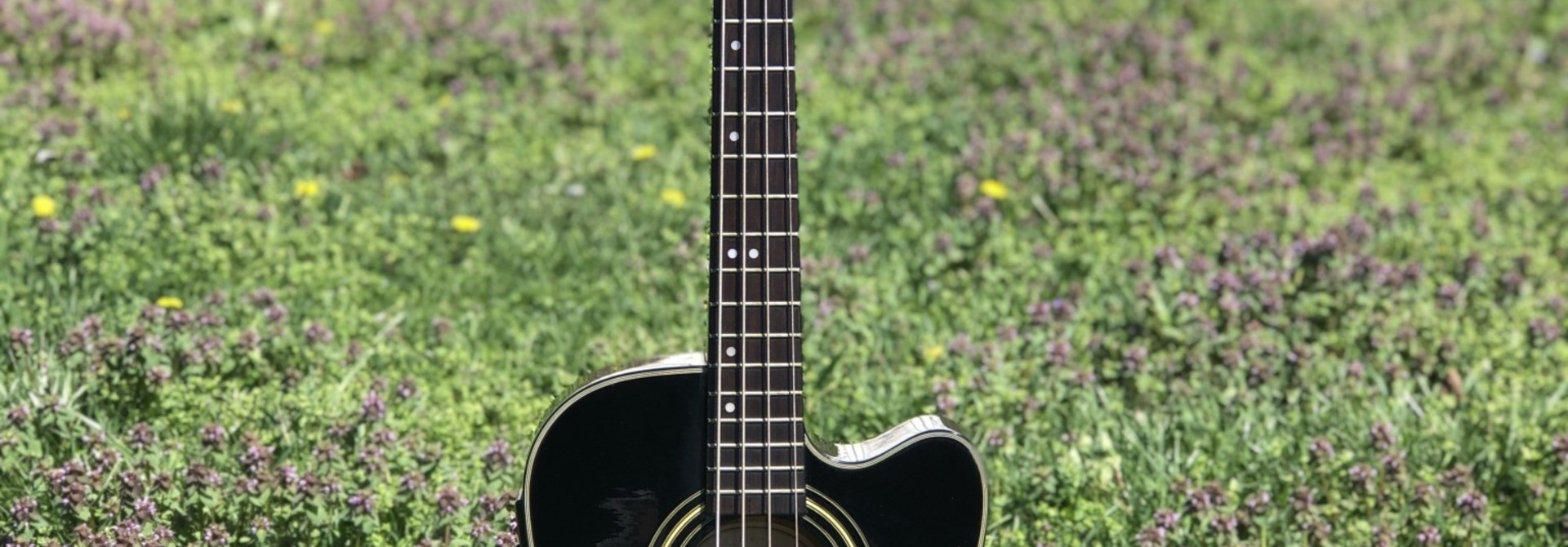 Fender BG29 Acoustic Bass