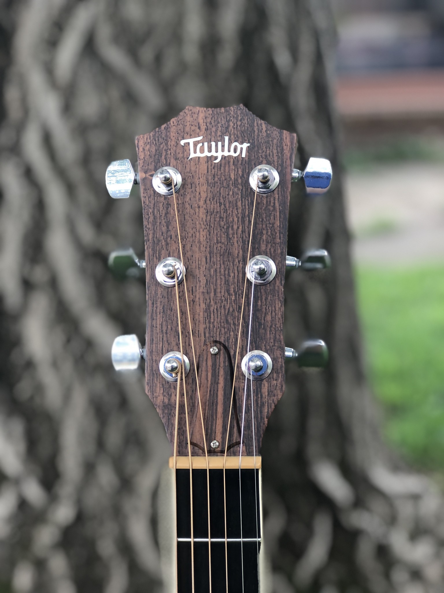 Taylor GA3 Acoustic Guitar-4