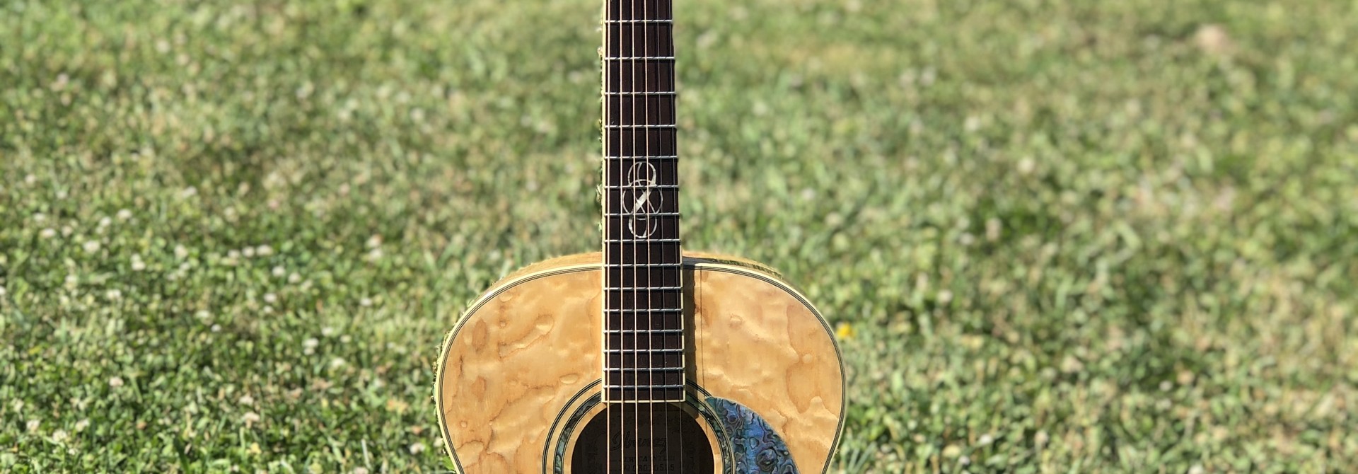 Ibanez EW20ASNT1201 Acoustic