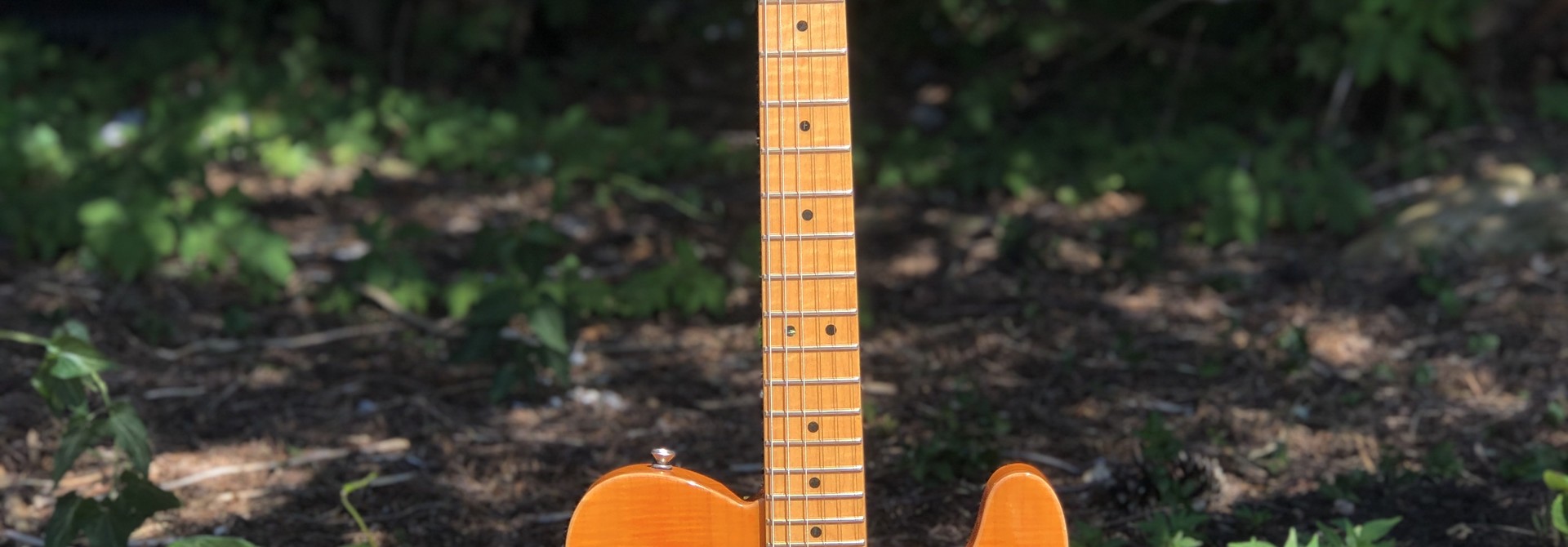 Fender Telecaster Select Carved Top Amber