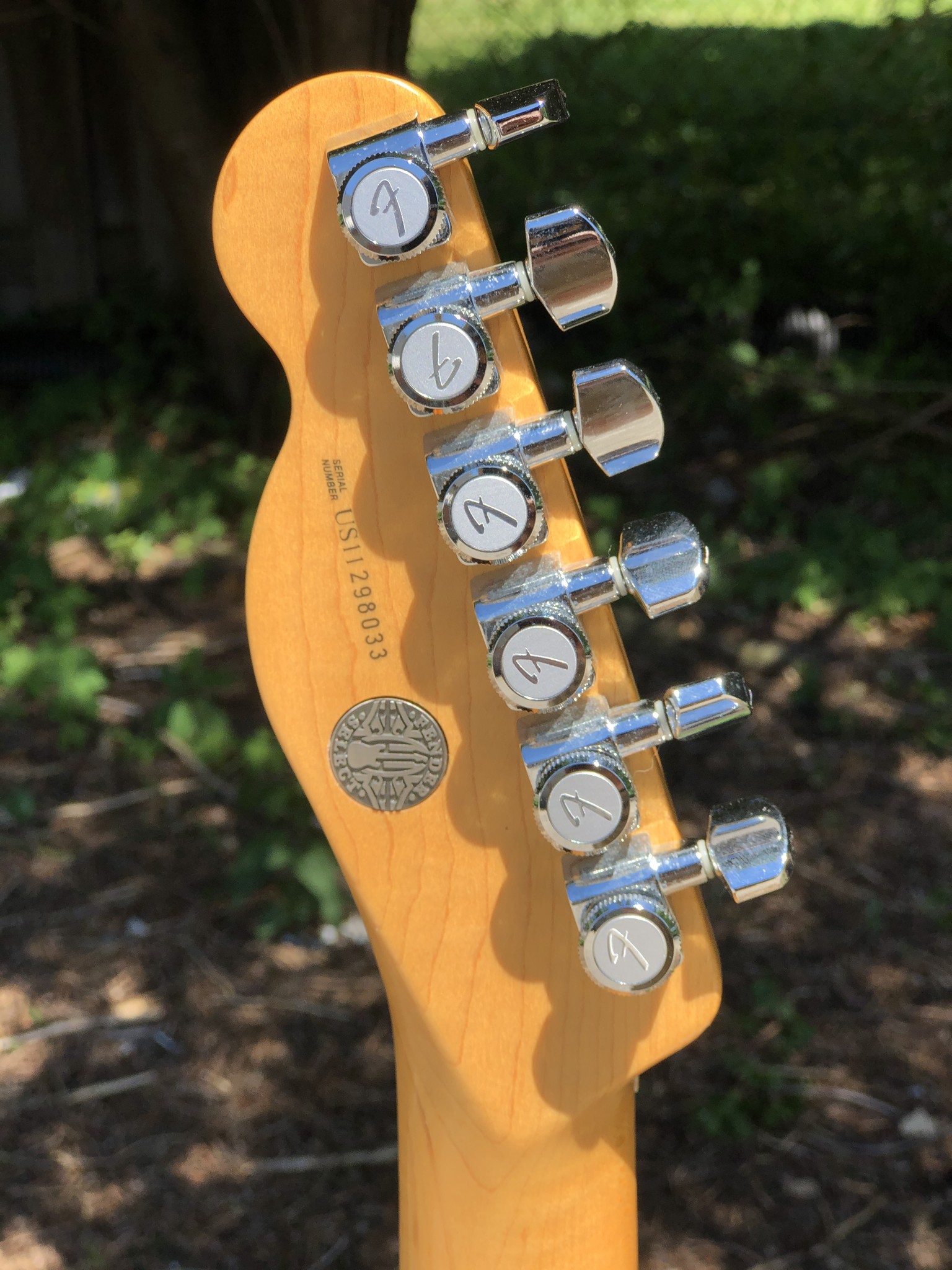 Fender Telecaster Select Carved Top Amber-10