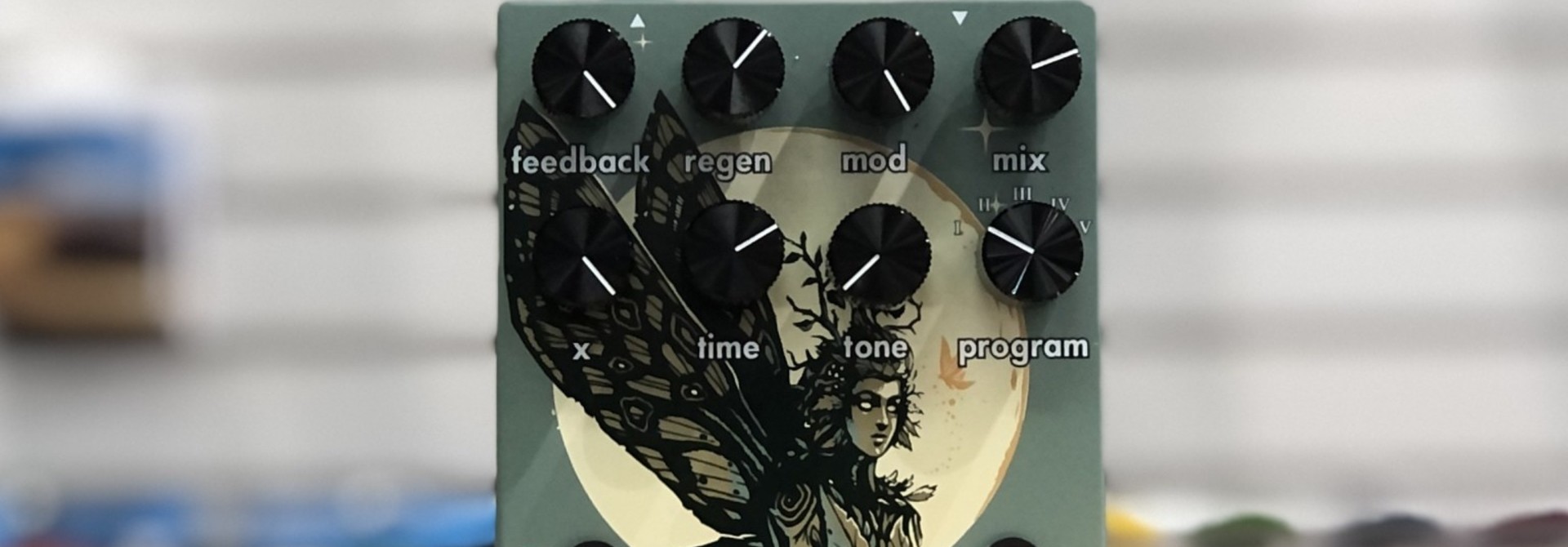 Walrus Audio Lore Reverse Soundscape Generator