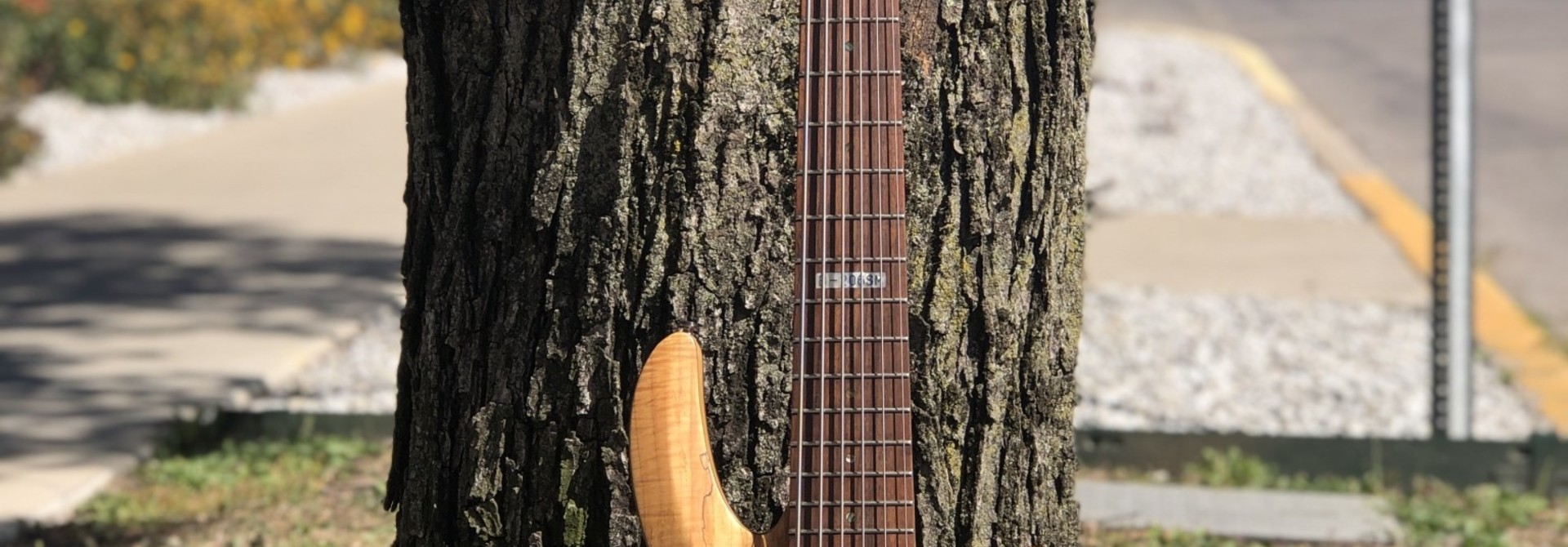 ESP LTD B-206SM 6 String Bass
