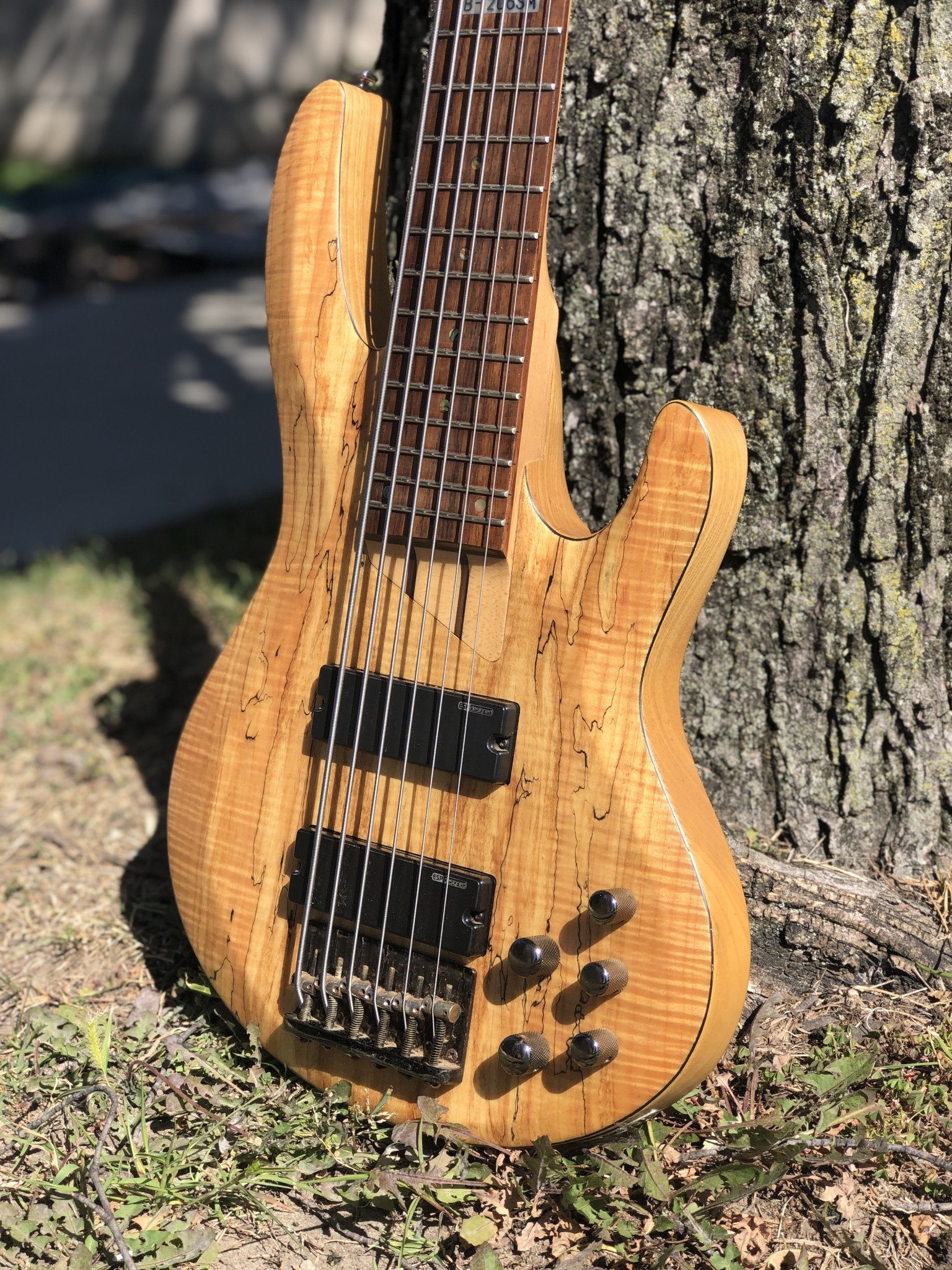 ESP LTD B-206SM 6 String Bass-2