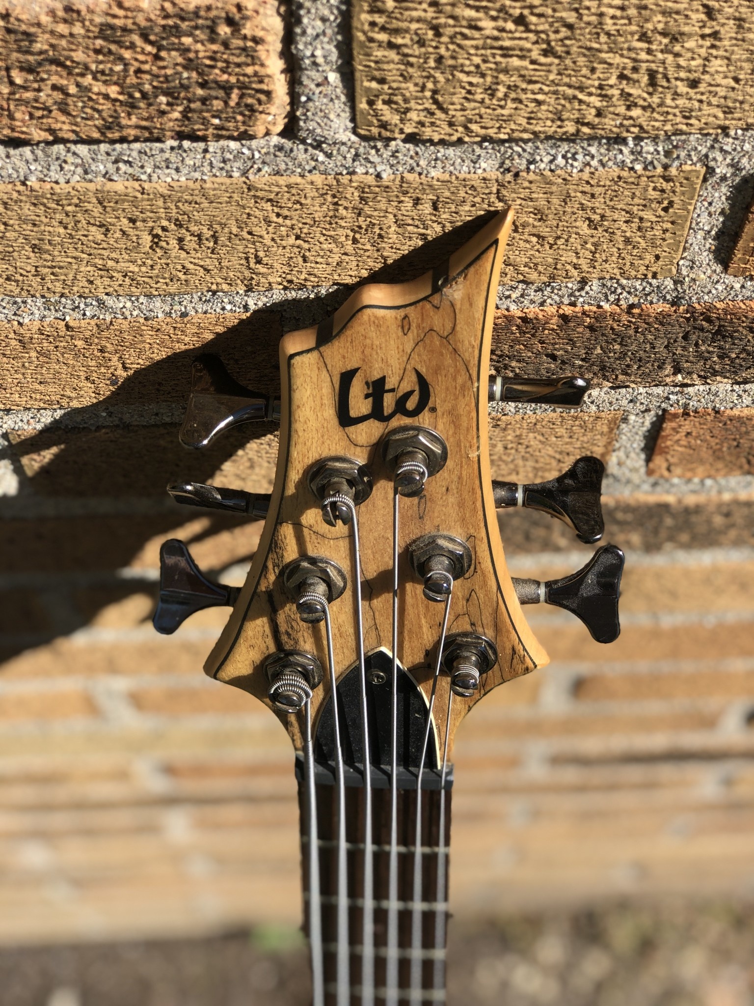 ESP LTD B-206SM 6 String Bass-7