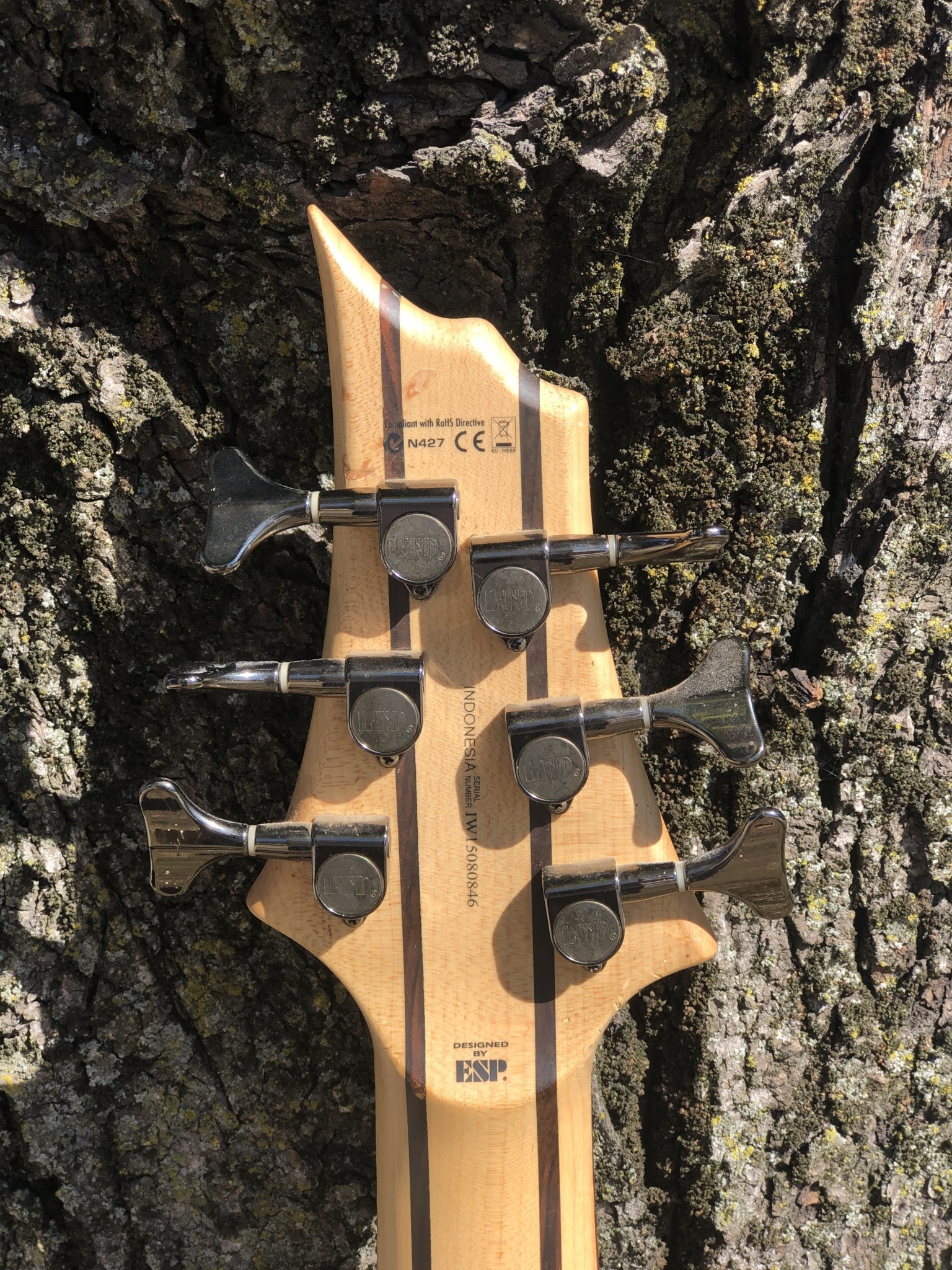 ESP LTD B-206SM 6 String Bass-10