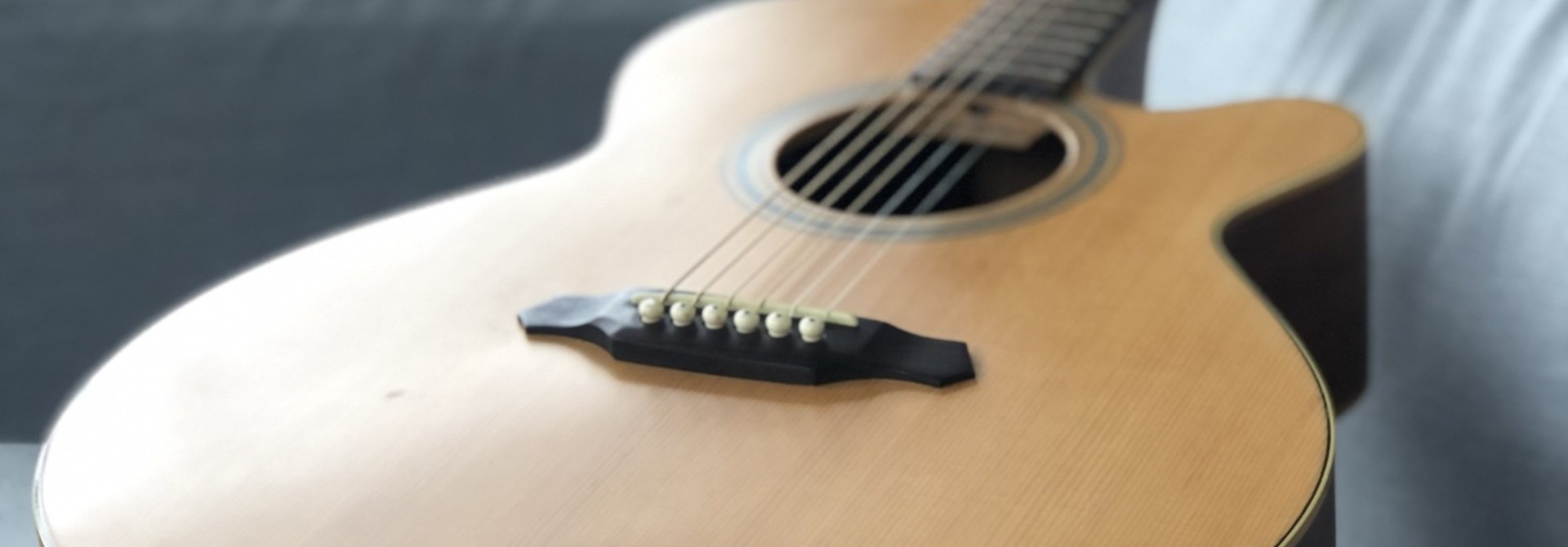 Takamine G Series EGS-430SC w/Tweed Case