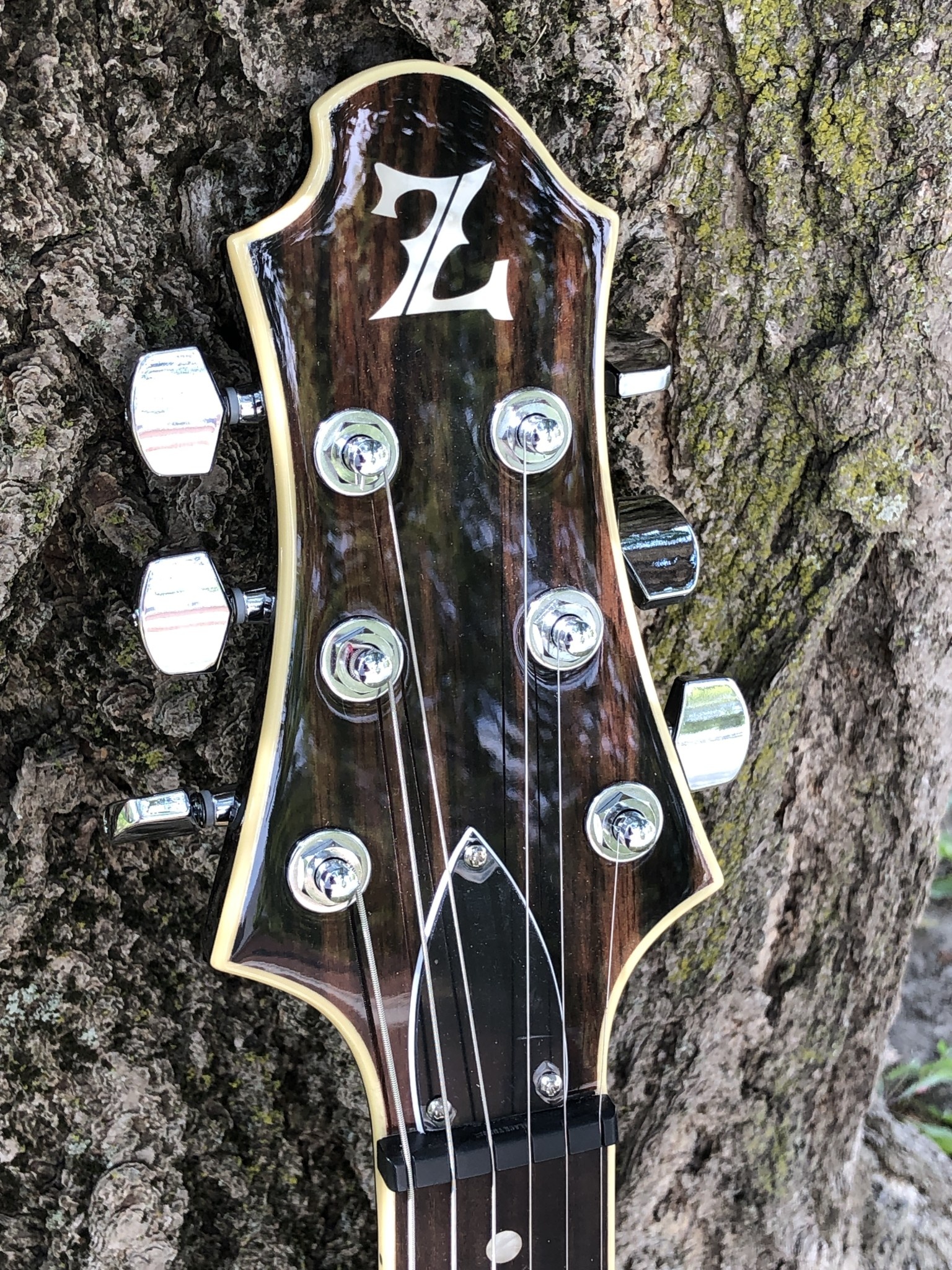 Zemaitas V ZVW22 Ebony w/gig bag - Indy String Theory LLC