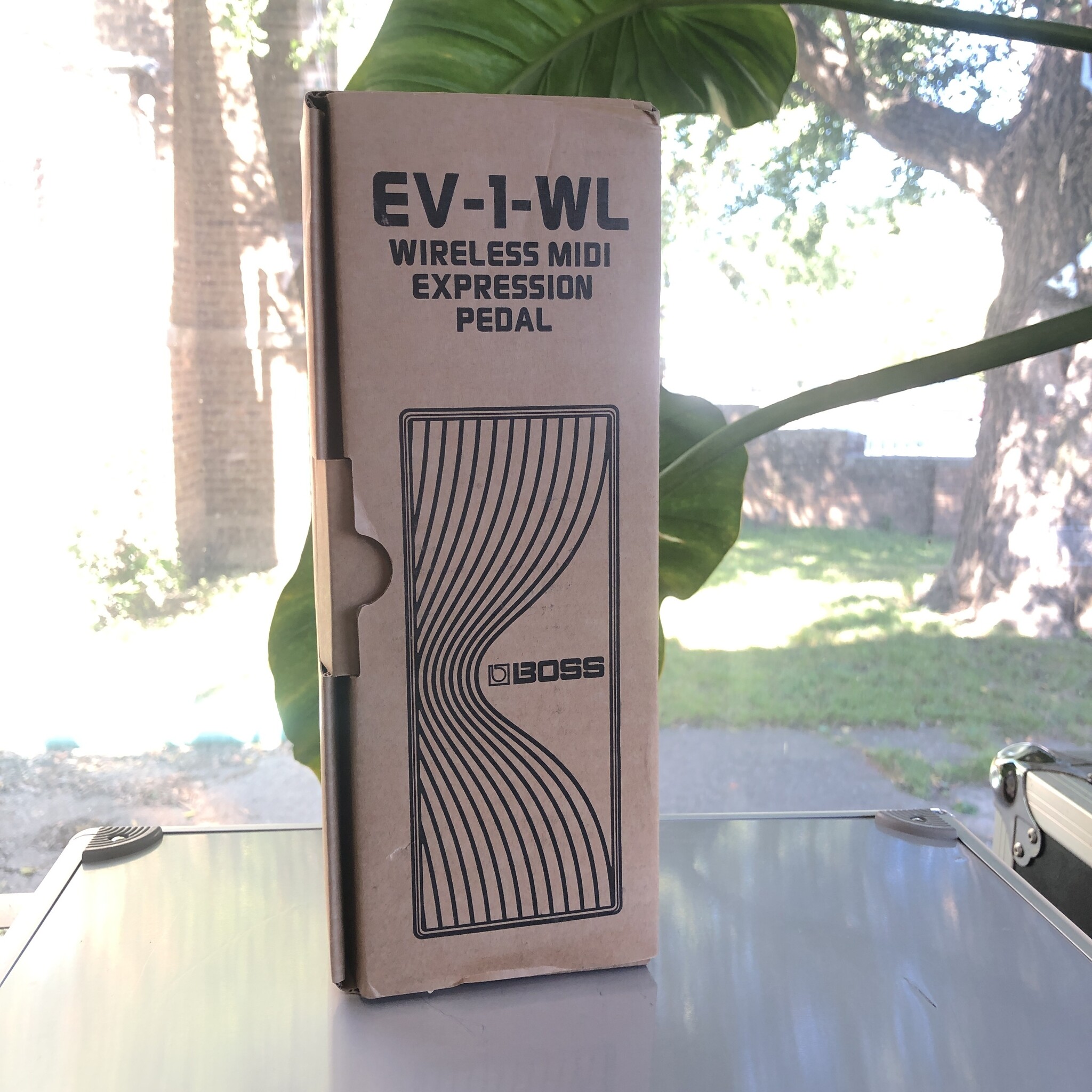 Boss EV-1-WL Wireless MIDI Expression Pedal - Indy String Theory LLC