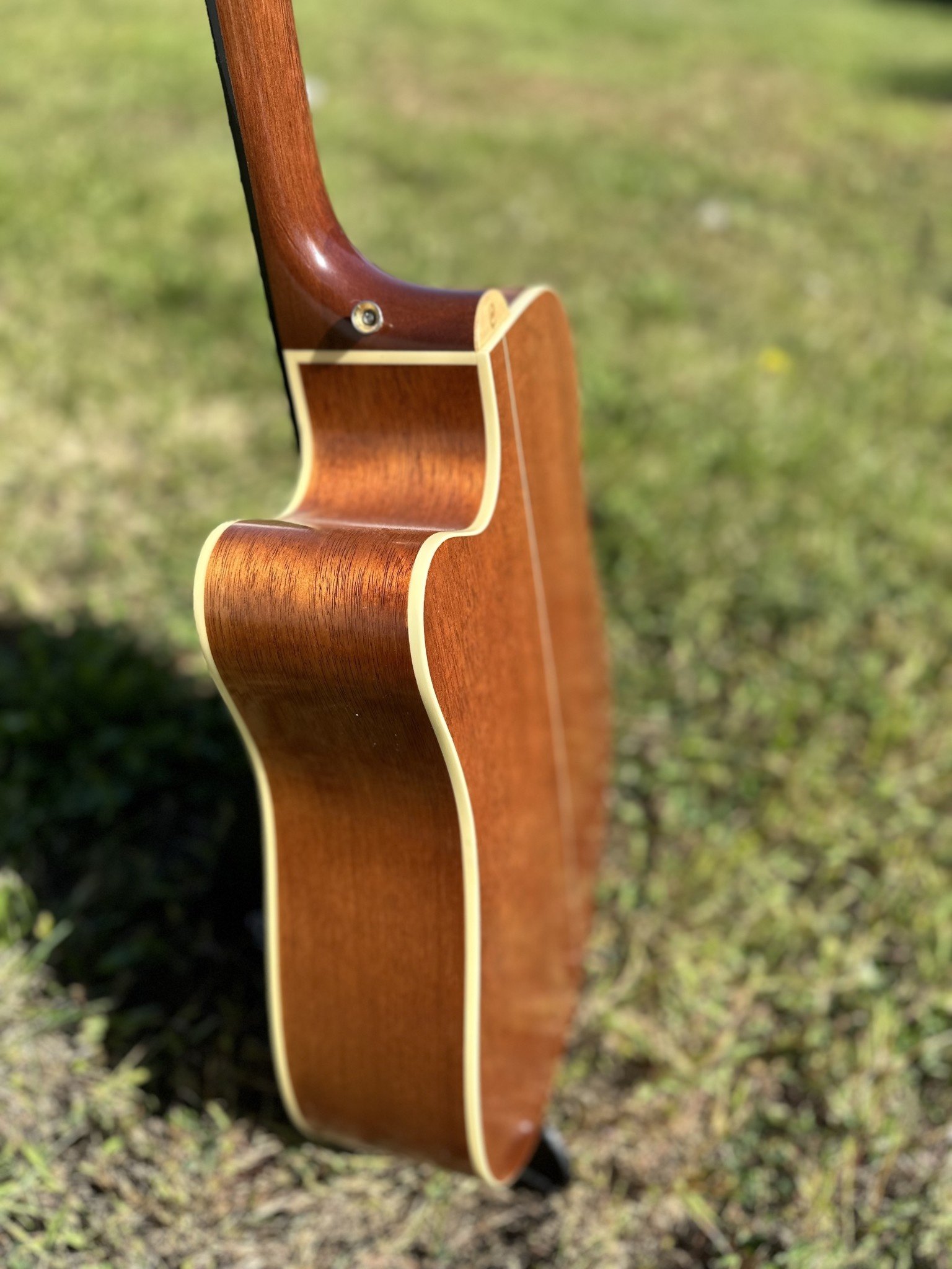 Cort MR710F Acoustic Guitar-5