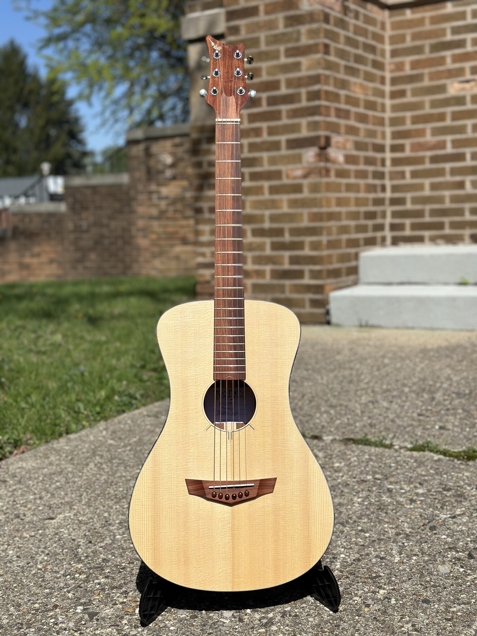 Two Birds Guitarworks F31 "The Budgie" Indy String Theory LLC
