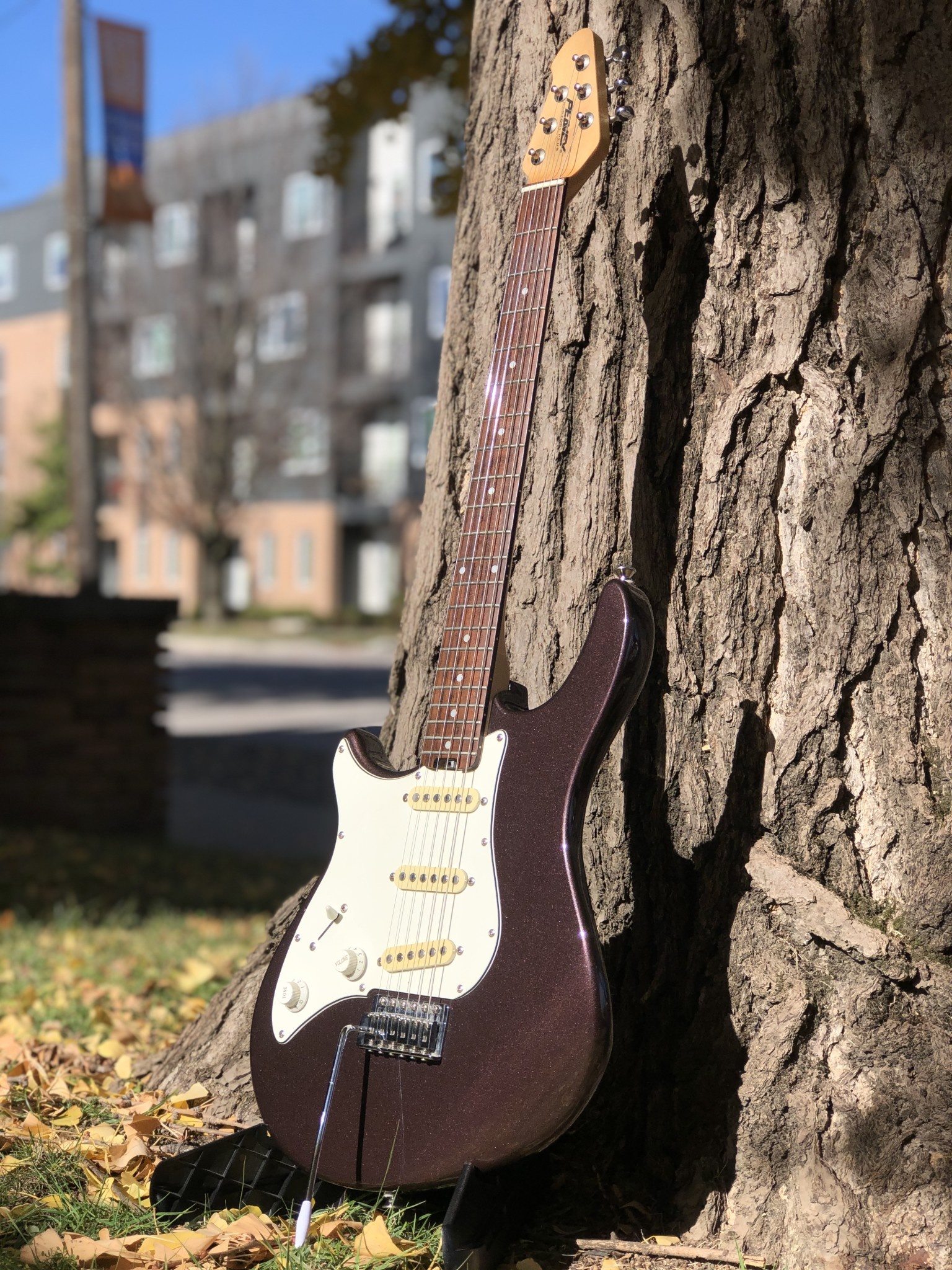 Peavey Predator Plus - Indy String Theory LLC Peavey Predator Plus - Indy String Theory LLC
