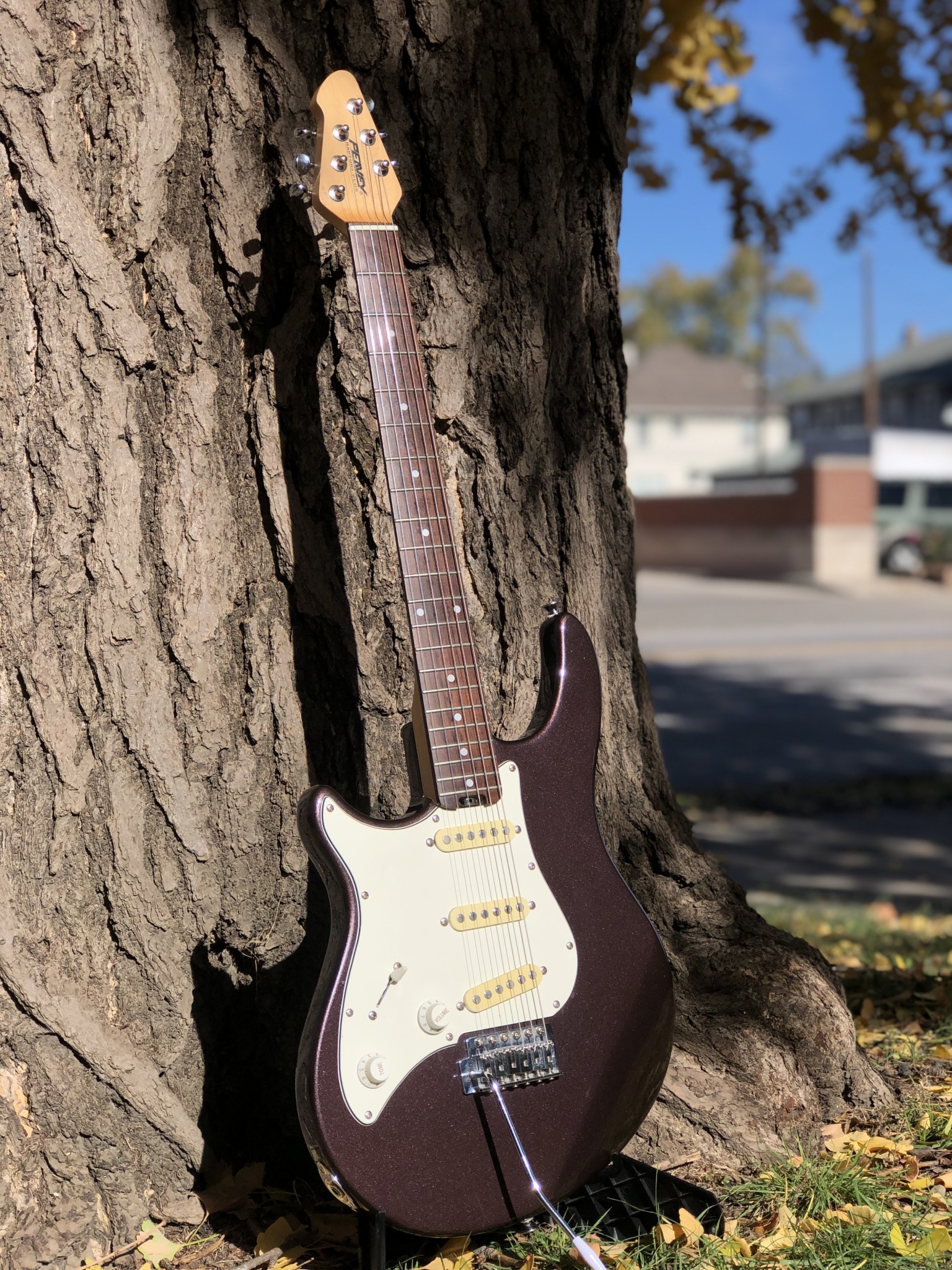 Peavey Predator Plus Review | Chorder.com