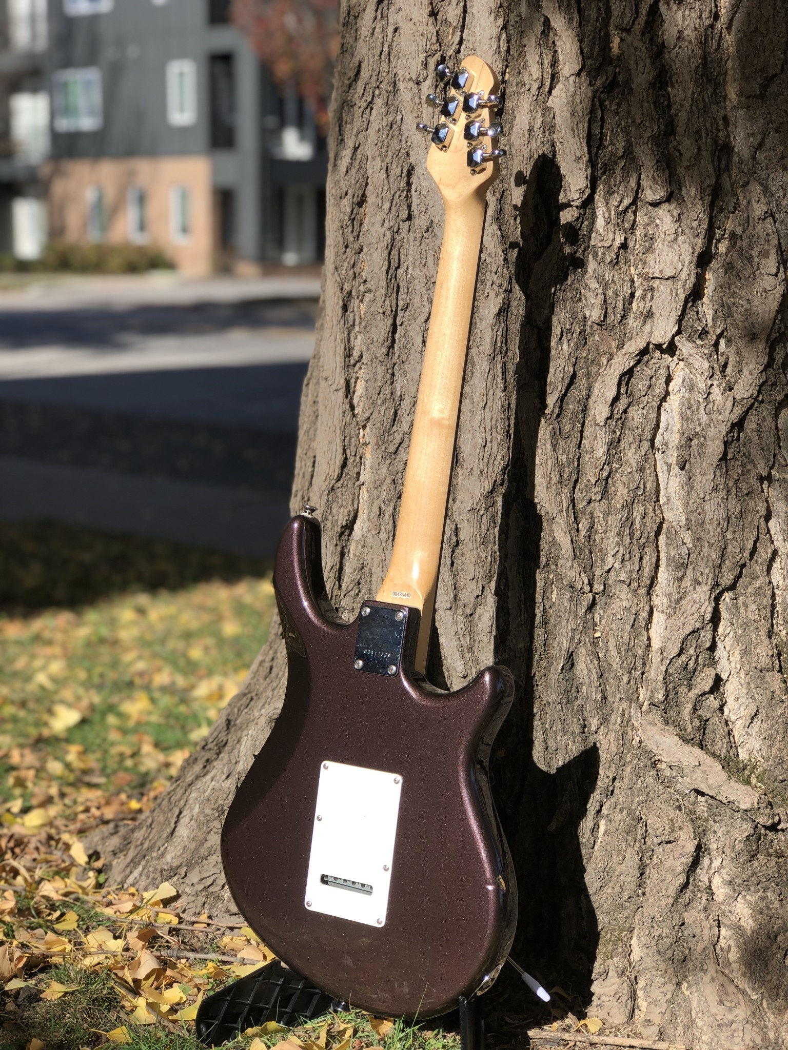 Peavey Predator Plus - Indy String Theory LLC Peavey Predator Plus - Indy String Theory LLC