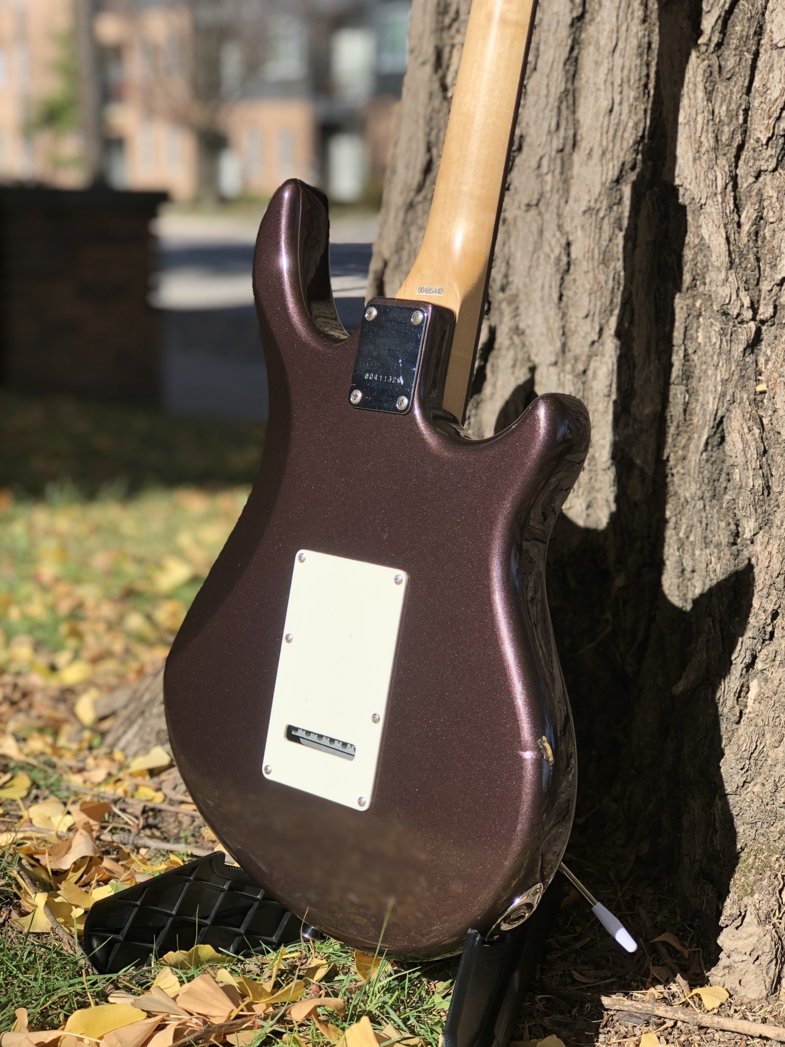 Peavey Predator Plus - Indy String Theory LLC Peavey Predator Plus - Indy String Theory LLC