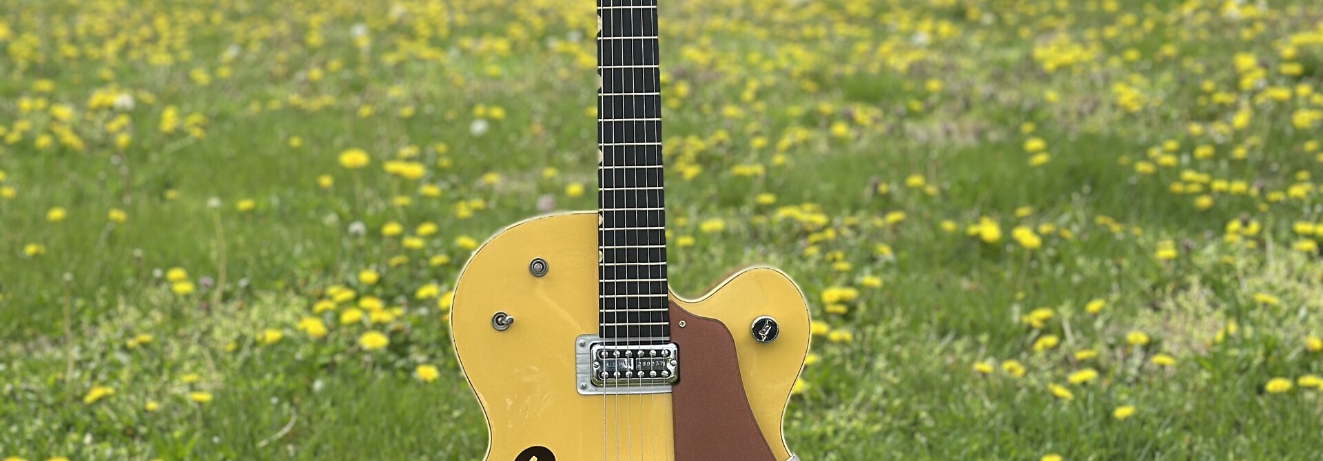 Gretsch G6118T-120 120th Anniversary - Bamboo Yellow