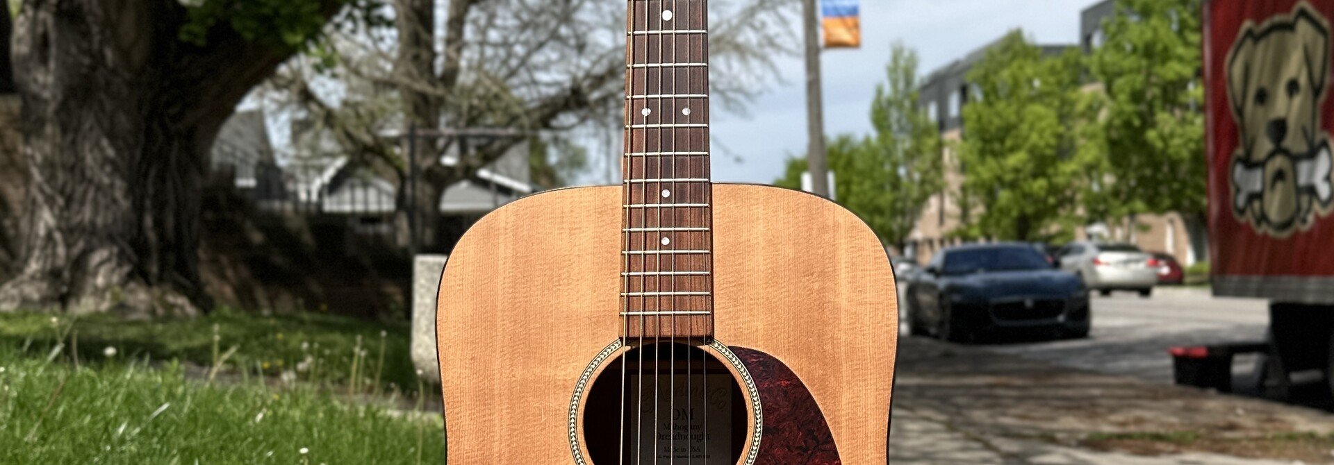 Martin DM Natural