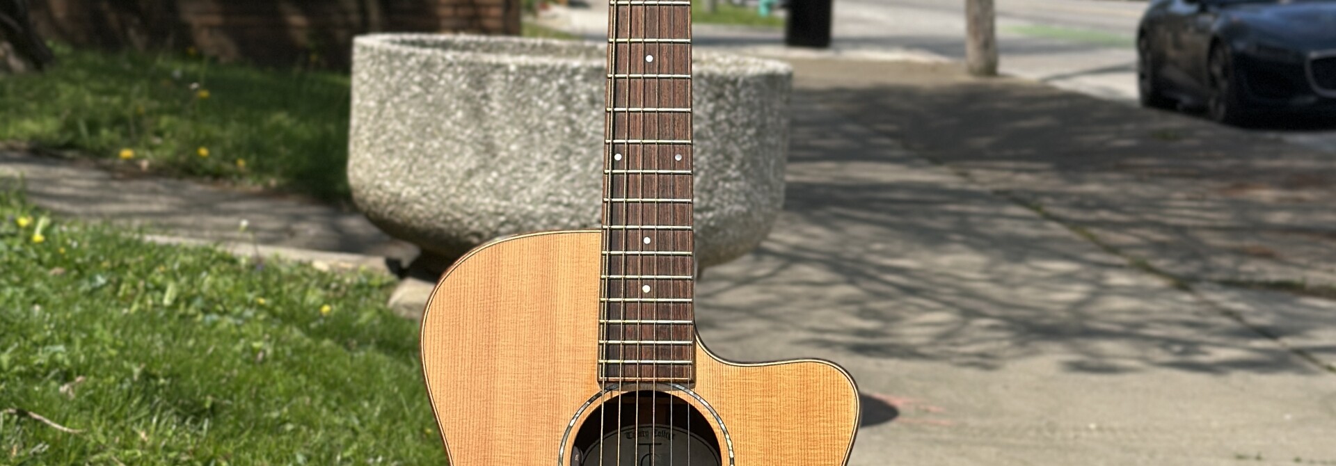 Trinity College TG-222 Acoustic Electric w/ Pure Mini & L.R. Baggs