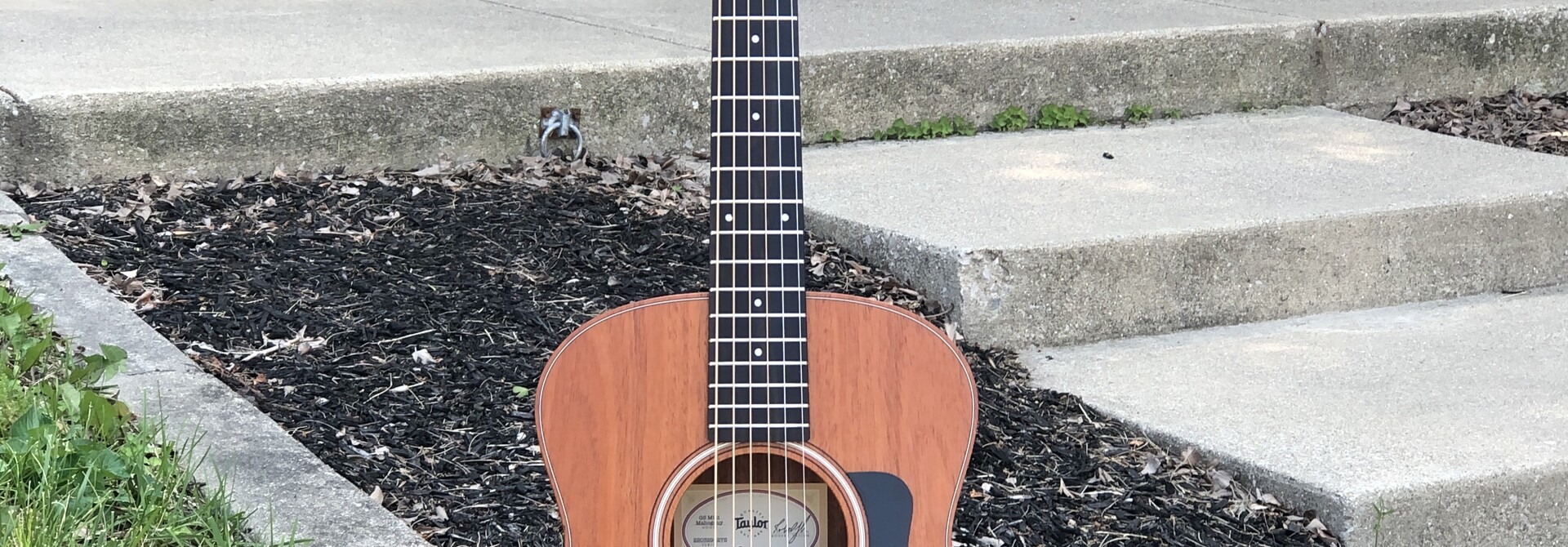 Taylor GS Mini Mahogany w/ Case