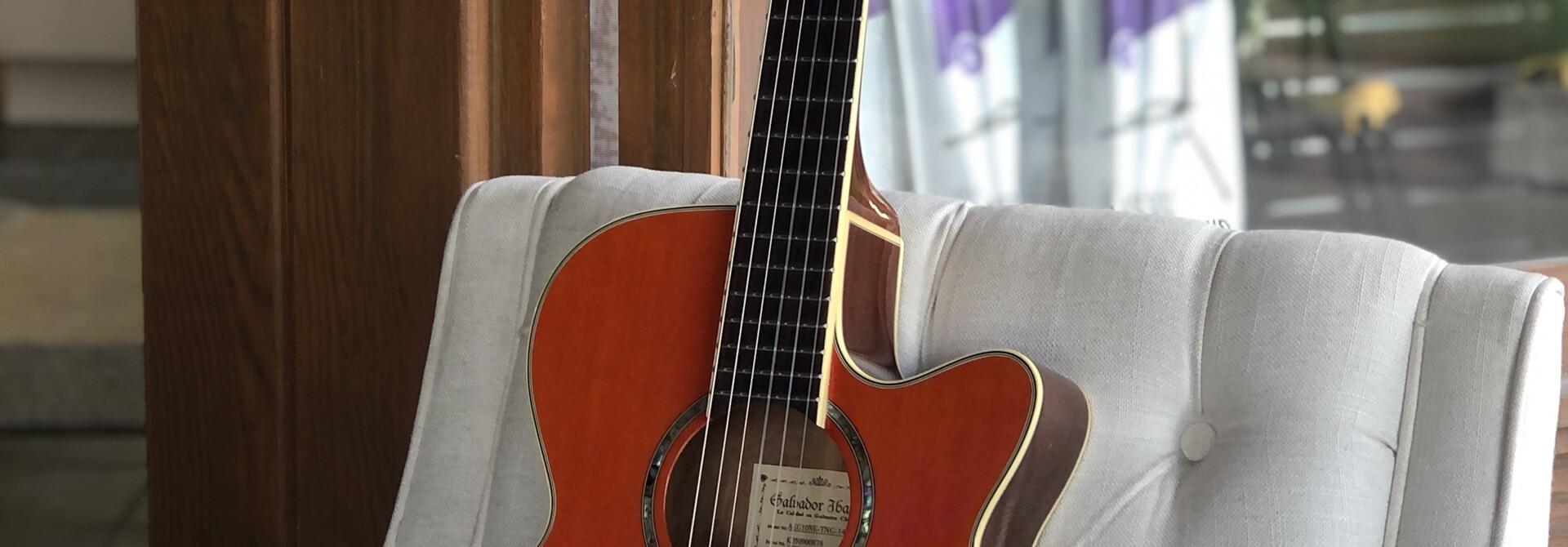 Ibanez AEG10NE-TNG-14-02 Classical Orange